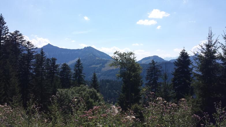 Gruberhorn, Regenspitz und Feichtensteinalm im Vordergrund