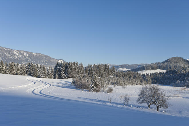 Naturschutzgebiet Egelsee