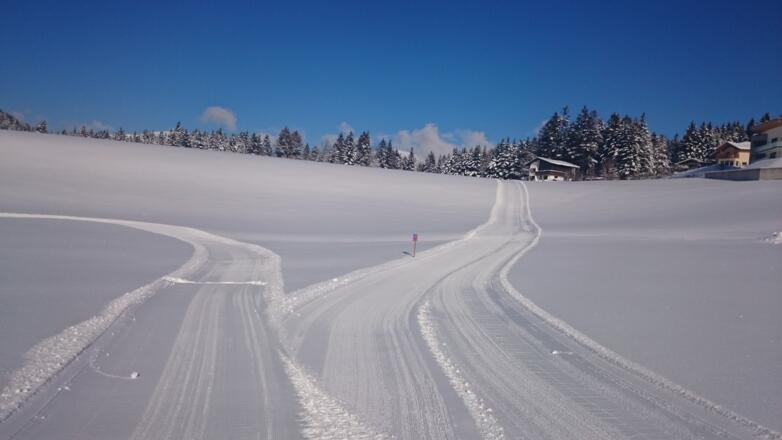 Wendepunkt Auloipe 2 