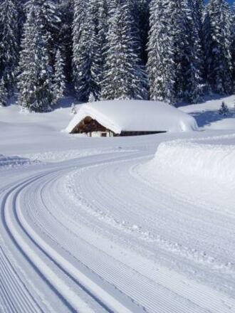 winterliche Verhältnisse auf der Lienbachloipe