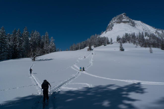 Kurze Abfahrt mit den Fellen, rechts der Gipfel des Holzeck