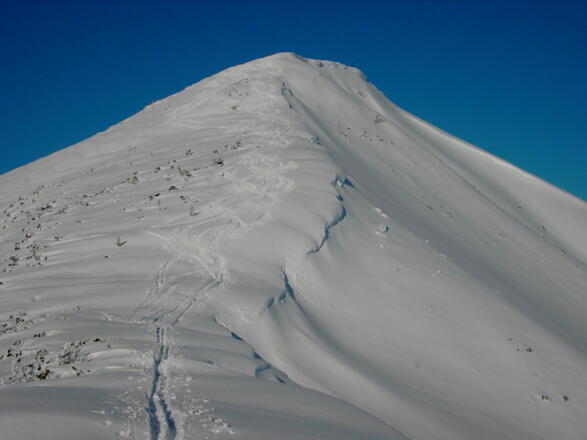 Der letzte Aufschwung vor dem Gipfel
