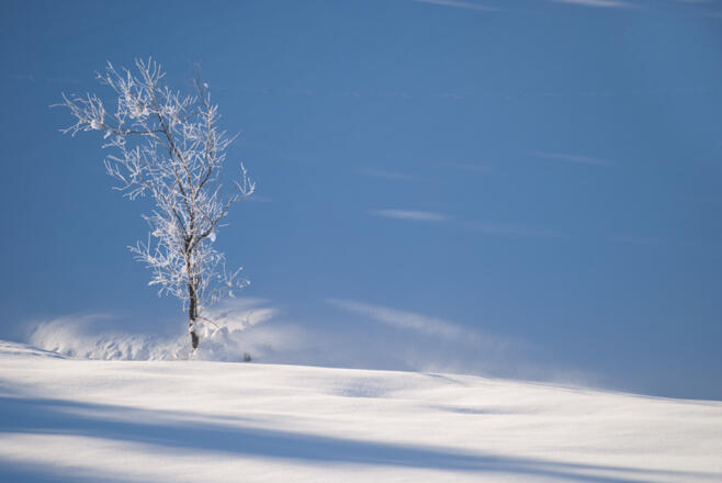 Rauhreif im Ortsteil Au