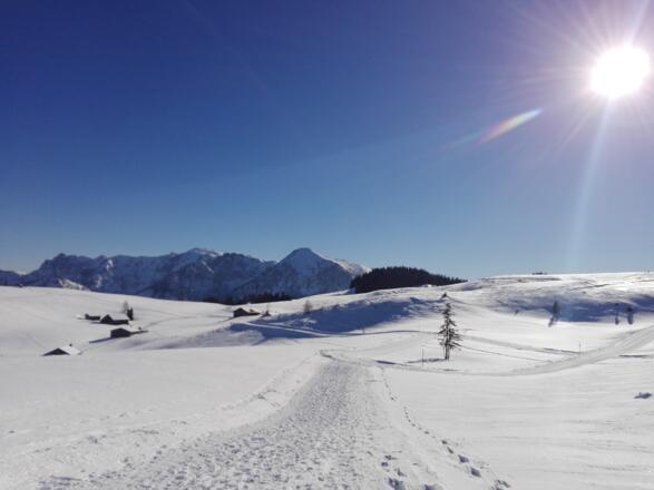 Winterlandschaft auf der Postalm