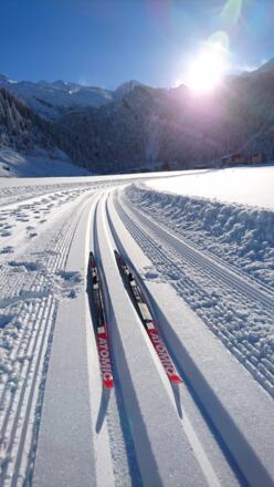 an der Fischbachloipe