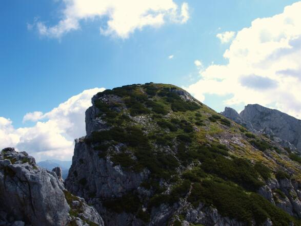 Steinriesenkogel 2008m