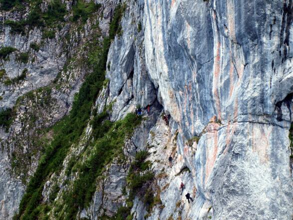 Kaiserverschneidung nach dem Einstieg