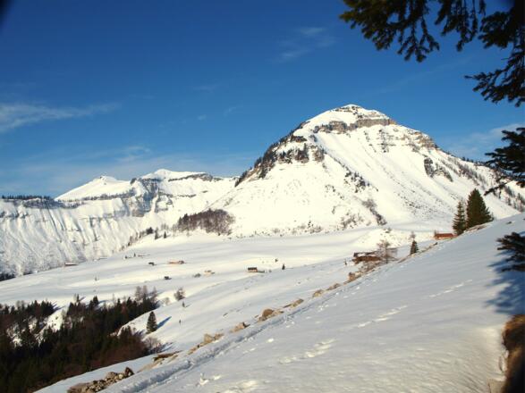 Plateauquerung um 1330m, Blick zum Gennerhorn.