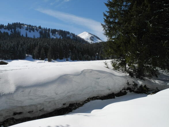 Innerlienbachalm mit Labenberg - wir bleiben auf der rechten Bachseite (10.3.2012)