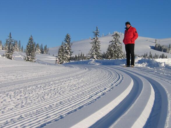 Winterwandern und Langlaufen auf der Postalm