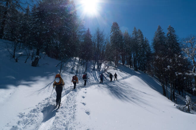 Aufstieg über die NW-Flanke im zunächst mäßig steilen und bewaldeten Gelände