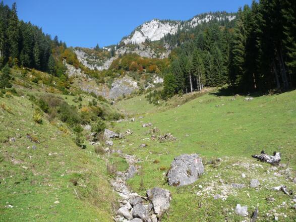Runter gehts von der Forststraße