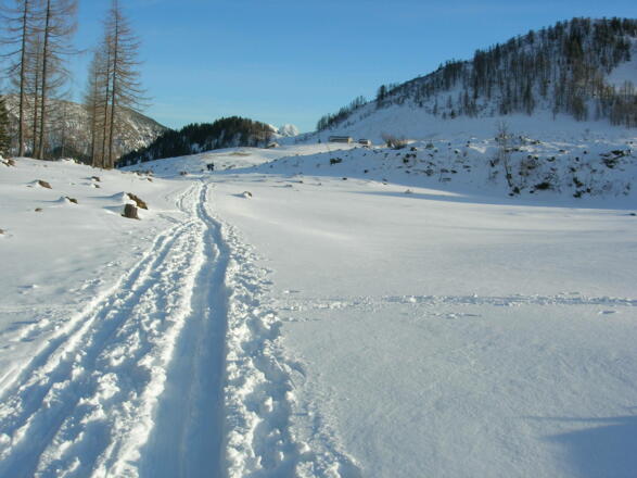 Die Labenbergalm nach dem Aufstieg von der Zinkenbachalm - 10.2.2007