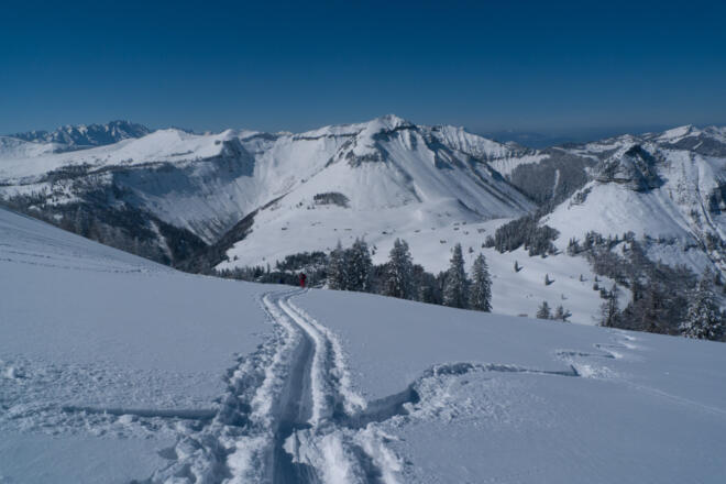 Im freien Gelände zum Gipfel hin nimmt die Steilheit stetig ab