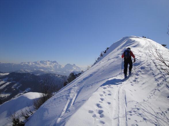 Nur mehr wenige Meter zum Gipfel des Egelseehörndls - 1. März 2011