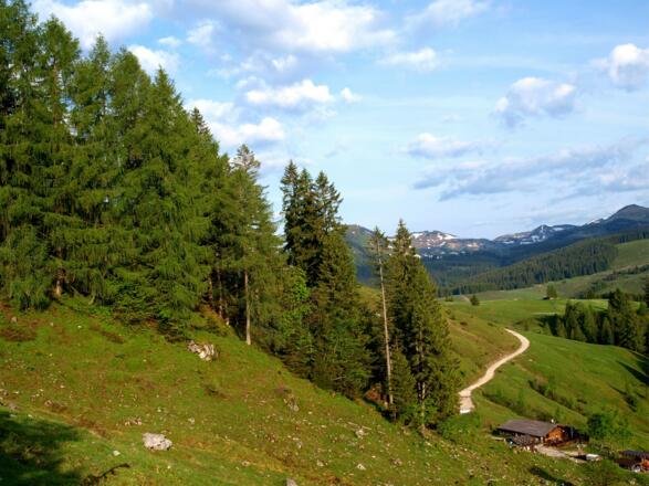 Anstieg bei der Retteneggalm 1211 m