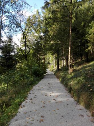 Wanderweg über die Sonnleit´n in Abtenau