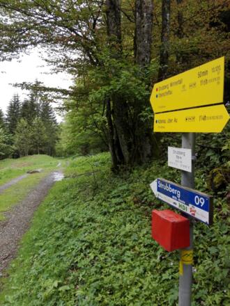 höchster Punkt am Mountainbikeweg