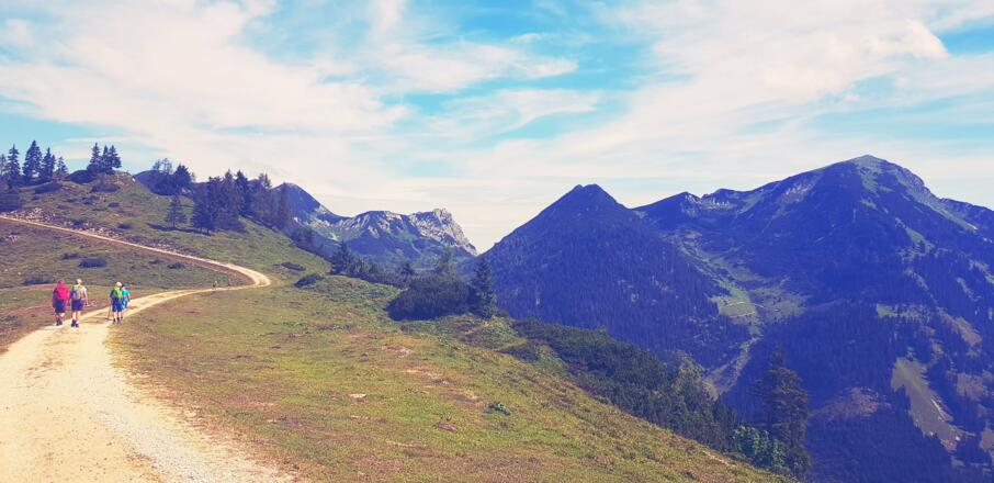 Bodenberg-Rundweg: Güterweg Richtung Turnaualm und Rinnbergalm