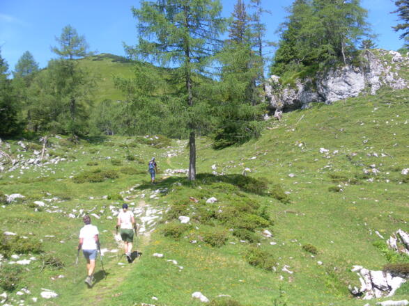 Mulde zum Gipfelhang