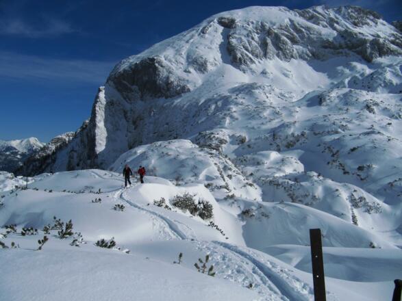 Die Tagweide hinter uns