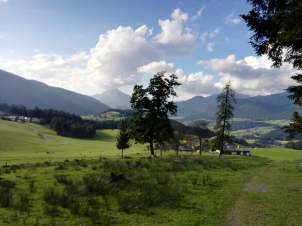 Aussicht auf den Ortsteil Voglau in Abtenau