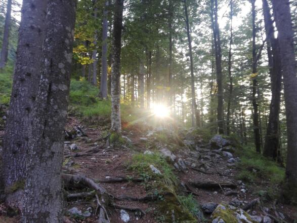 Am Weg zum Winnerfall