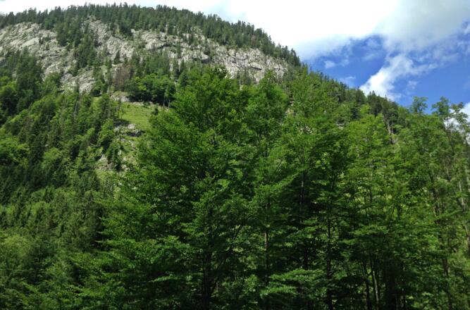 Mountainbiketour Postalm Tennengebirge