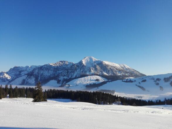 Blick auf den Braundelkogel Postalm Abtenau - Strobl