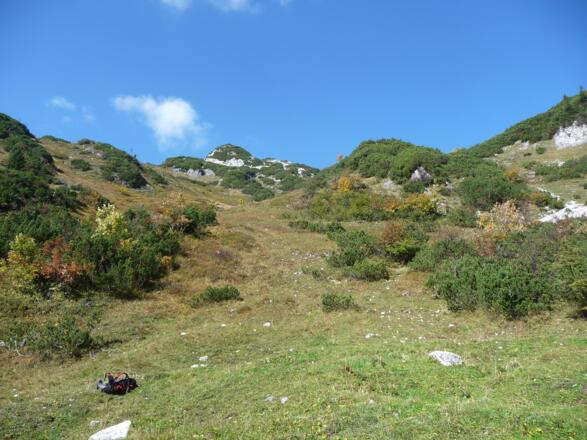Die Rosnleitn, ein herrlicher Rastplatz mit Blick aufs Bischofskögei und...