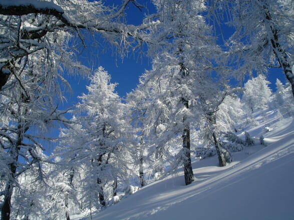Bei Pulverschnee und sicheren Bedingungen ist die Tour besonders schön!