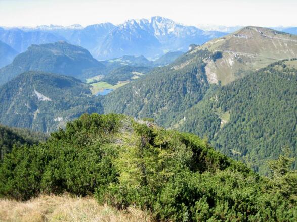 Vom Hochwieskopf Richtung Seewaldsee