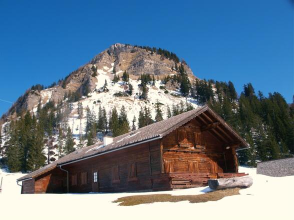 Holzeck am Weg Nähe Posch&#039;n Hütte (1296m) gesehen.