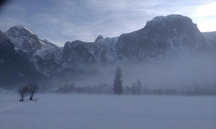 Rauhreif im Ortsteil Au