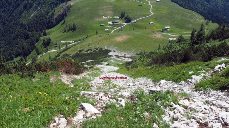 Abstieg in der Lawinenschneise ~1550m - 1350m