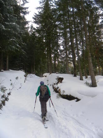 am Sommerweg zur Gsengalm