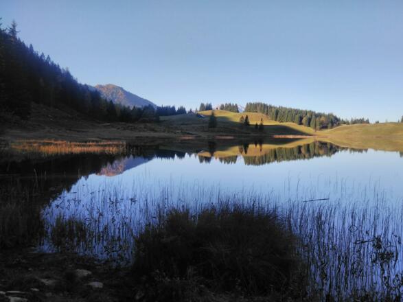 Morgenstimmung am Seewaldsee