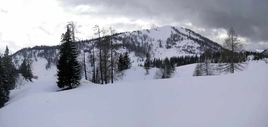 Taborberg Ostflanke von der Thurnaualm