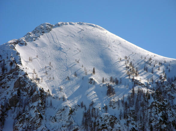 Die Nordwestflanke des Braunedlkogels, das &quot;Schild&quot; - man beachte den Lawinenabgang über eine Aufstiegsspur!