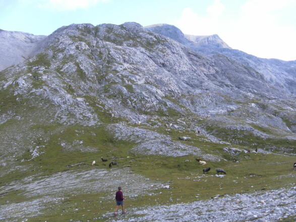 in der Senke der Karsthochfläche