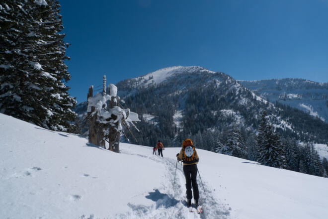 Bei der Querung in östlicher Richtung, kurz vor dem Bergabstück, vor uns die NW-Flanke des Hohen Zinken
