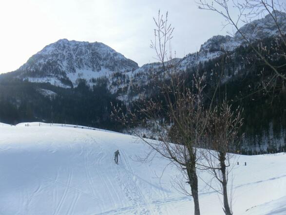 Schober von Eggenreit