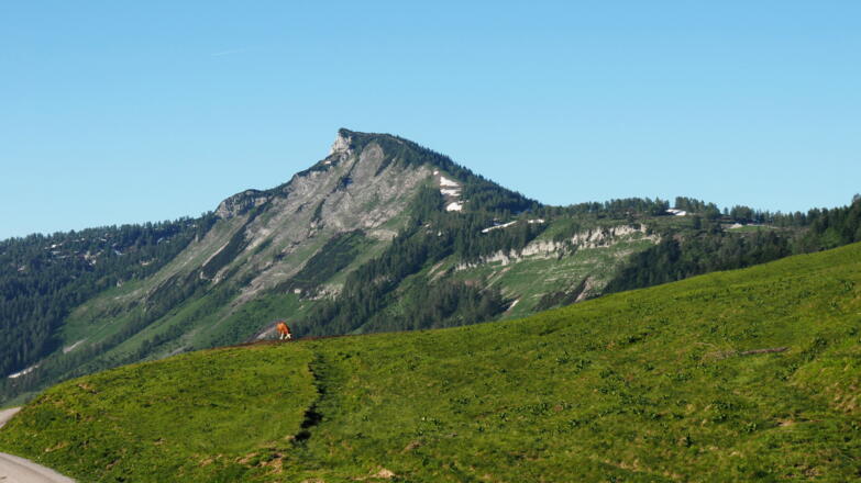 Hochwieskopf vom Almgelände (1300m)