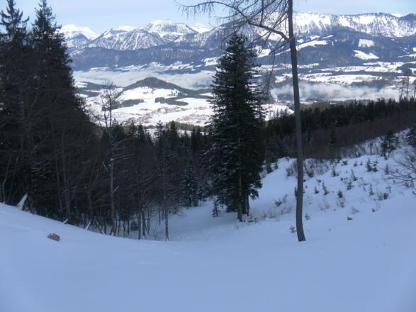Lammertal aus den Mulden