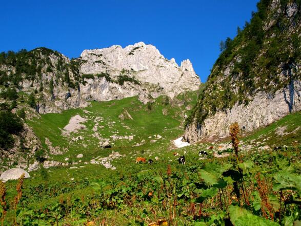 Bei der Wandalm 1390 m beim Aufstieg