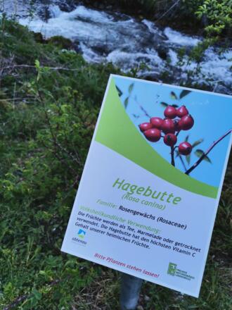 Kräuterweg Dachserfall