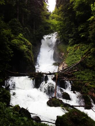 Schwarzenbachfall