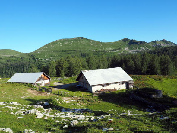Hochwiesalm 1463m mit Hohem First und Dürlstein