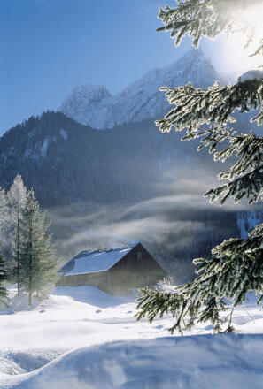 Rauhreif im Ortszeil Au