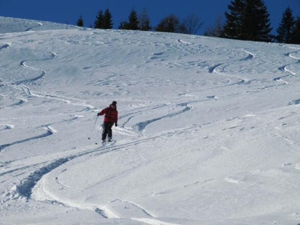 wunderschöne Wiesenhänge 